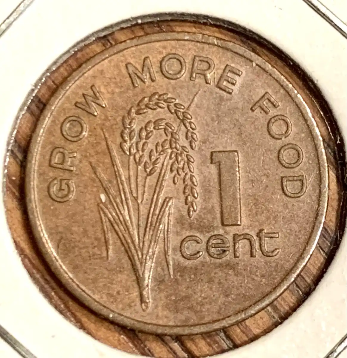 Around-The-World-With-Coins---A-Coin-Geography-Game